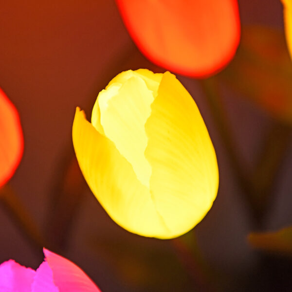 Solar Tulip Lamp (2)