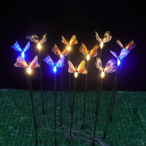 Butterfly Light (2)