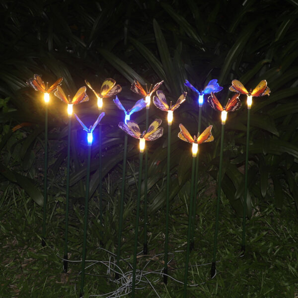 Butterfly Light (4)