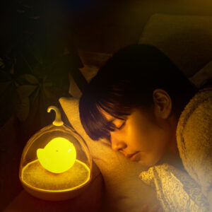 RL-100 Rechargeable LED Night Light