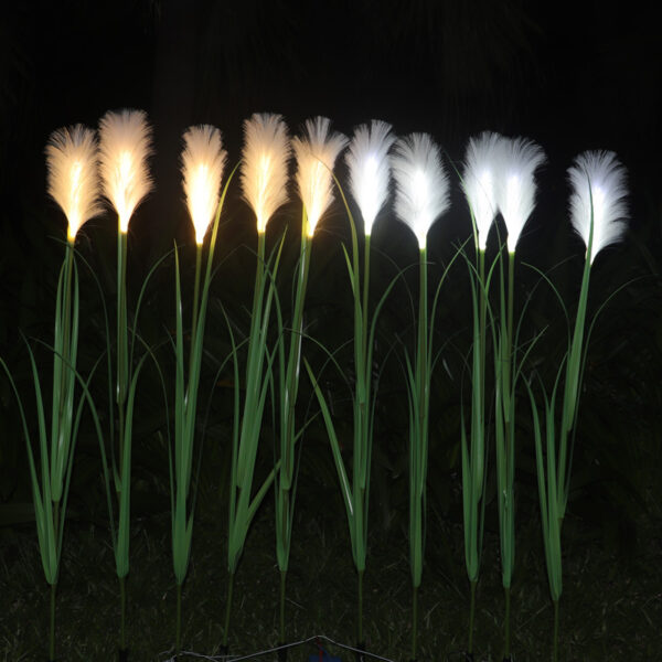 Reed Lights (3)