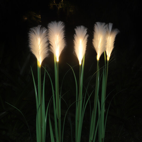 Reed Lights (5)